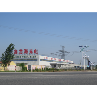 LED照明技術驅動綠色未來 從路燈改造到智慧養殖的鑫龍海實踐